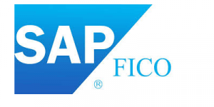 sap-fico-training-course-in-hubli-1