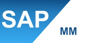 sap-mm-training-course-in-hubli-1