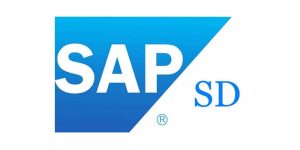 sap-sd-training-course-in-hubli-1